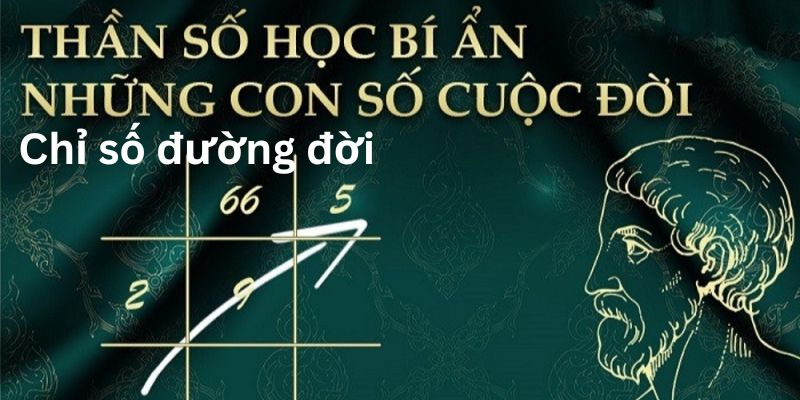 Năng lượng của thần số học và chỉ số đường đời