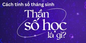 cách tính số tháng sinh