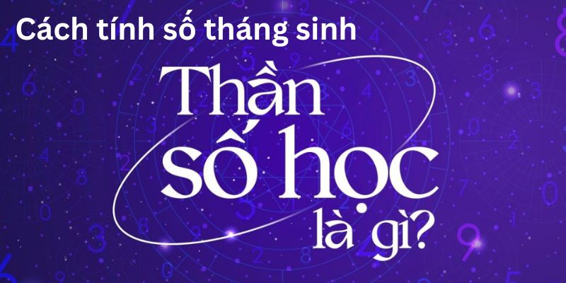 cách tính số tháng sinh