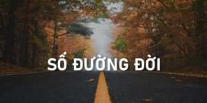 so-duong-doi-trong-than-so-hoc-anh-dai-dien