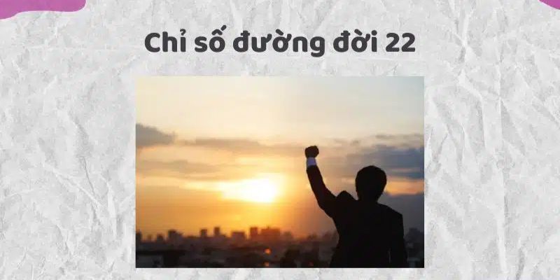 Chỉ số đường đời của người sở hữu số 22