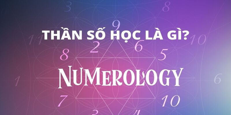 thong-tin-doi-net-ve-tra-cuu-than-so-hoc