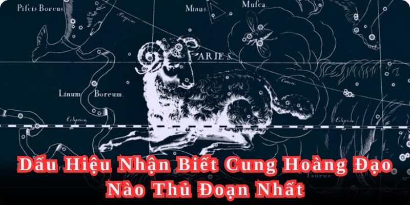 Nhận biết khả năng che giấu cảm xúc để phát hiện cung hoàng đạo nào thủ đoạn nhất